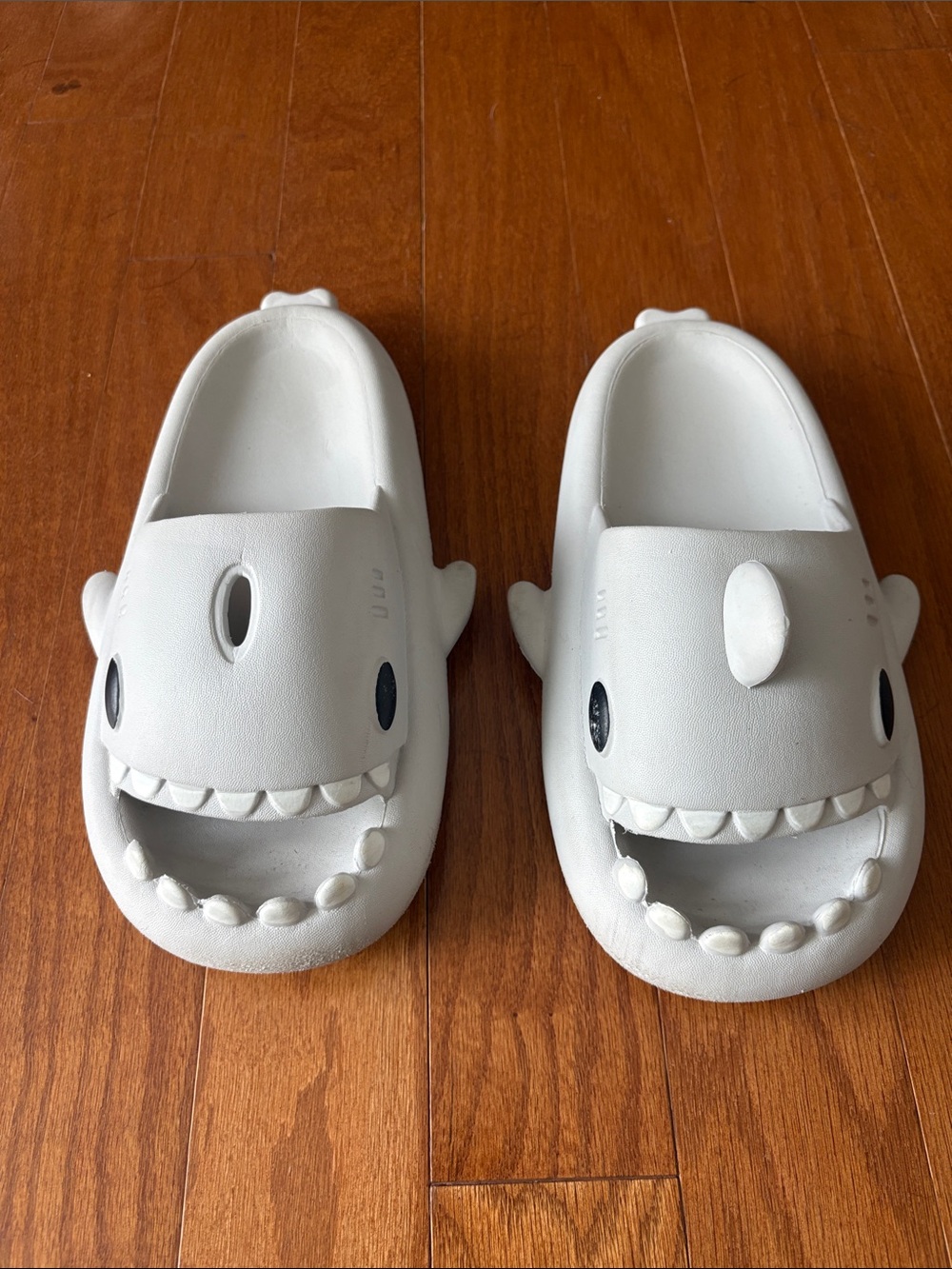 Cloud shark slides.